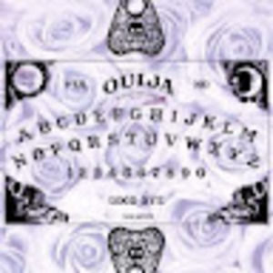 Meet your Posher, Bennett